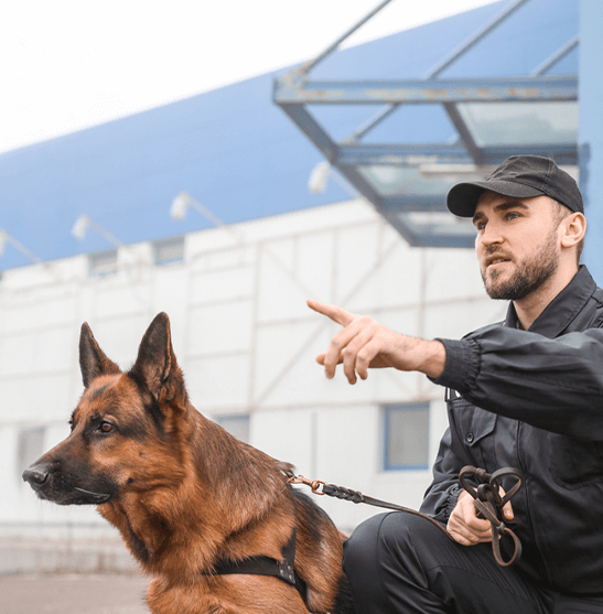 Security Patrol Dogs