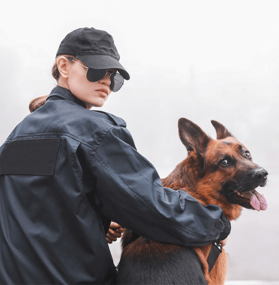 dog security London, UK