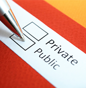 Public and Private Sector Security