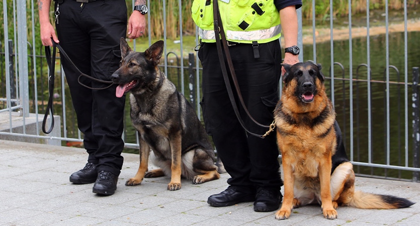 How Can Security Dog Patrol Services Help Prevent Crime and Deter Criminals