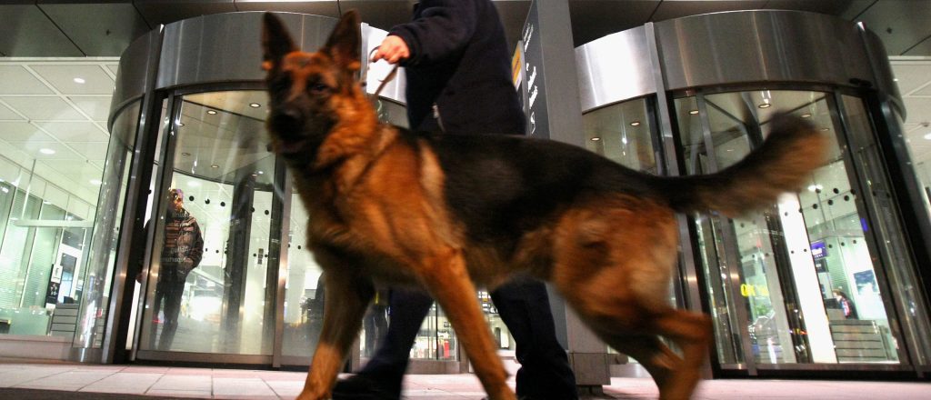 dog patrol security agency london